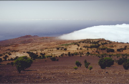 Wandern auf den Kanaren, El Hierro